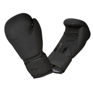 Mănuși de box pentru antrenament Pro Leather V2 negru/negru